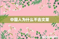 中国人为什么不去文莱