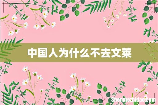 中国人为什么不去文莱