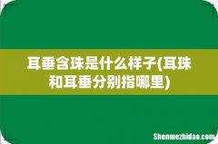耳珠和耳垂分别指哪里 耳垂含珠是什么样子