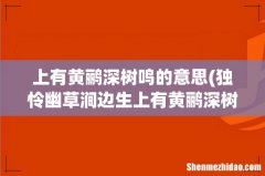 独怜幽草涧边生上有黄鹂深树鸣是什么意思 上有黄鹂深树鸣的意思