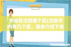 沈阳市内有几个区，简单介绍下各个区？ 中街在沈阳哪个区