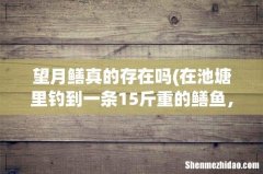 在池塘里钓到一条15斤重的鳝鱼，这么大的黄鳝能吃吗？ 望月鳝真的存在吗