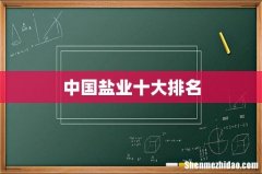 中国盐业十大排名