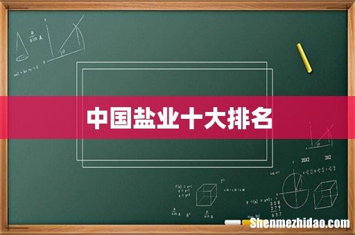 中国盐业十大排名