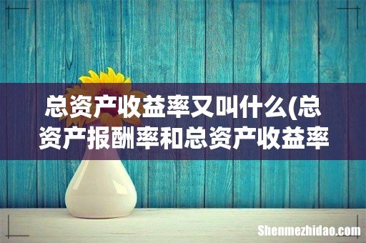 总资产报酬率和总资产收益率；净资产收益率和净资产报酬率是一回事吗？具体的计算公式是什么啊？ 总资产收益率又叫什么