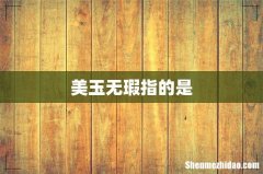 美玉无瑕指的是