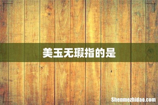 美玉无瑕指的是