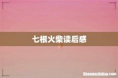 七根火柴读后感