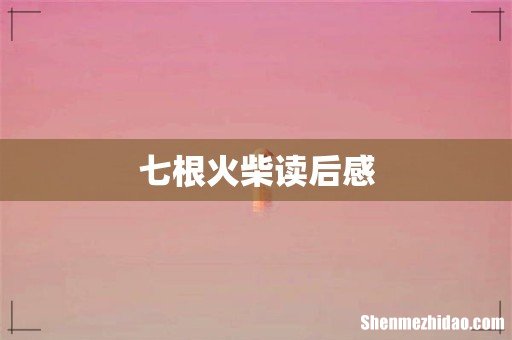 七根火柴读后感