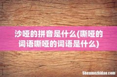 嘶哑的词语嘶哑的词语是什么 沙哑的拼音是什么