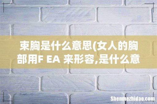 女人的胸部用F EA 来形容,是什么意思- 束胸是什么意思