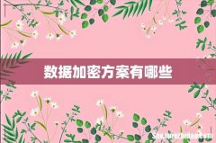 数据加密方案有哪些