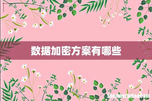 数据加密方案有哪些