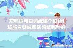 羽绒服白鸭绒和灰鸭绒哪种好 灰鸭绒和白鸭绒哪个好