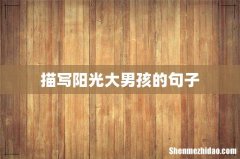 描写阳光大男孩的句子