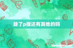 除了p搜还有其他的吗