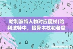 哈利波特中，接骨木杖和老魔杖是一个魔杖吗-主人是谁- 哈利波特人物对应魔杖