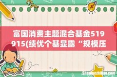 绩优个基显露“规模压力” 富国消费主题混合基金519915