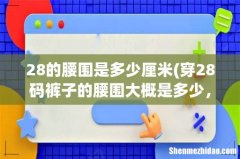 穿28码裤子的腰围大概是多少，女 28的腰围是多少厘米