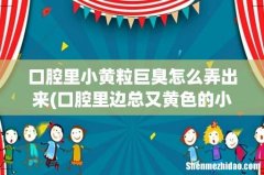 口腔里边总又黄色的小疙瘩 特别臭怎么回事啊？ 口腔里小黄粒巨臭怎么弄出来