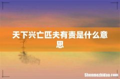 天下兴亡匹夫有责是什么意思