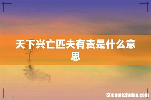 天下兴亡匹夫有责是什么意思