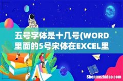WORD里面的5号宋体在EXCEL里面是几号字体？ 五号字体是十几号