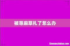 被荨麻草扎了怎么办