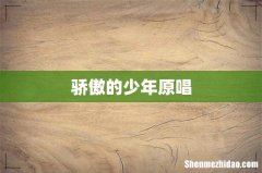 骄傲的少年原唱