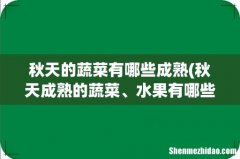 秋天成熟的蔬菜、水果有哪些 秋天的蔬菜有哪些成熟