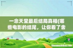 哪些电影的结尾，让你看了舍不得结束？ 一念天堂最后结局真相