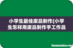 小学生怎样用废品制作手工作品 小学生最佳废品制作