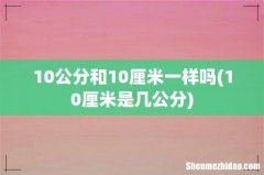 10厘米是几公分 10公分和10厘米一样吗
