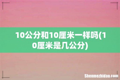 10厘米是几公分 10公分和10厘米一样吗