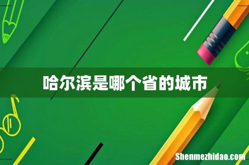 哈尔滨是哪个省的城市