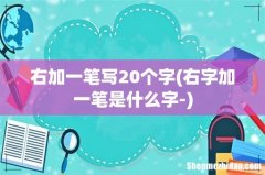 右字加一笔是什么字- 右加一笔写20个字