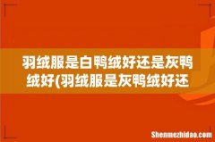 羽绒服是灰鸭绒好还是白鸭绒好 羽绒服是白鸭绒好还是灰鸭绒好