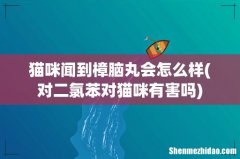 对二氯苯对猫咪有害吗 猫咪闻到樟脑丸会怎么样