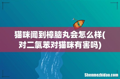 对二氯苯对猫咪有害吗 猫咪闻到樟脑丸会怎么样