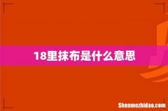 18里抹布是什么意思
