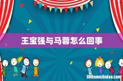 王宝强与马蓉怎么回事