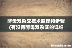 有没有酵母双杂交的详细说明 酵母双杂交技术原理和步骤