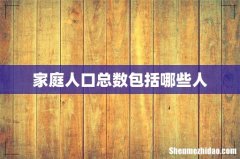 家庭人口总数包括哪些人