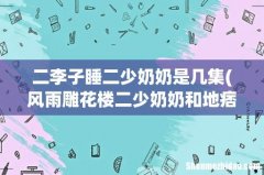 风雨雕花楼二少奶奶和地痞多少集 二李子睡二少奶奶是几集
