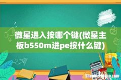 微星主板b550m进pe按什么键 微星进入按哪个键