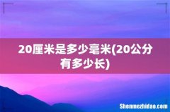 20公分有多少长 20厘米是多少毫米