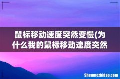 为什么我的鼠标移动速度突然变得很慢 鼠标移动速度突然变慢