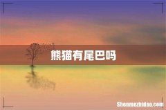 熊猫有尾巴吗