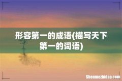 描写天下第一的词语 形容第一的成语