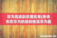余承东在华为的级别他是华为最高年薪的人吗 华为高级副总裁名单